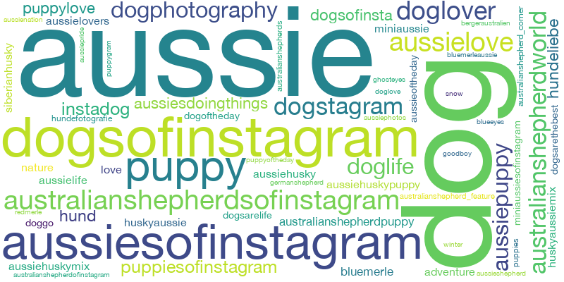 Word cloud featuring hashtags which are commonly used on posts alongside #australianshepherd.